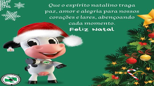 Boas festas e um Feliz Natal!